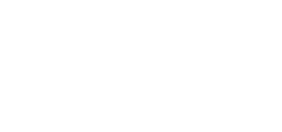 Koss Model Management